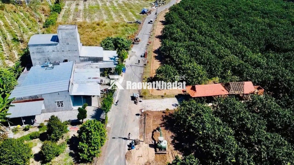  Bán đất vườn bưởi Trừ Văn Thố – Bàu Bàng | 250m² | Giá 965 triệu